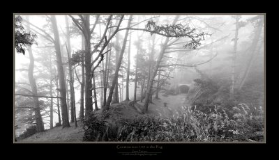 Construction 129 Panorama-2-BW