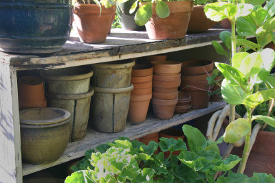 Potting