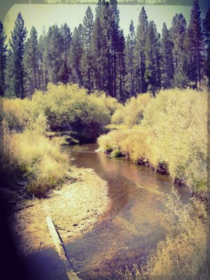 Creeking