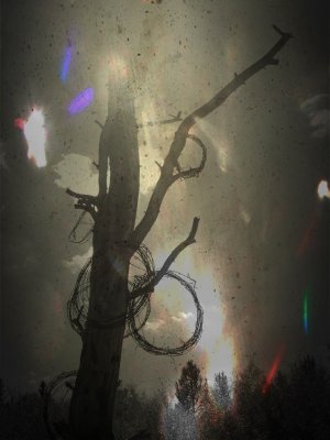 Barbed Wire 