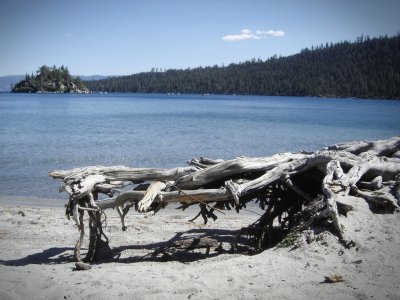 Views of Tea House Island