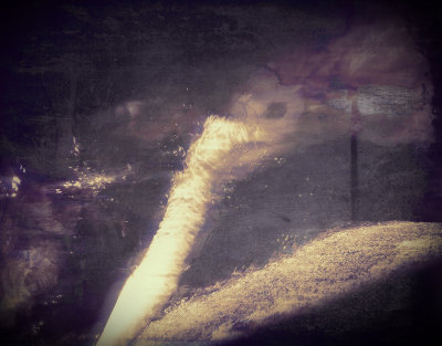 Transitory Pleasures, II
