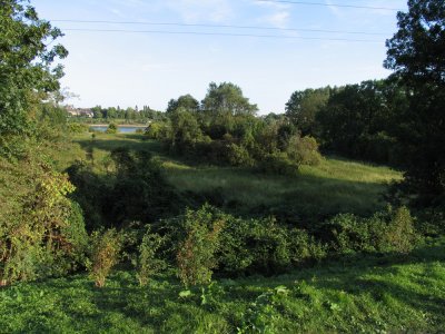 Rheinwiesen bei Friemersheim