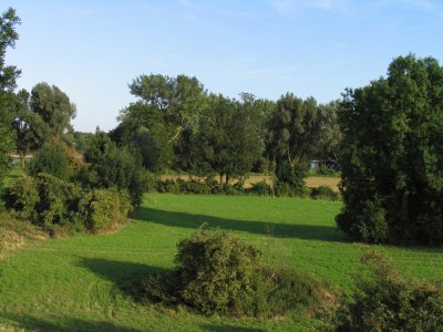 Rheinwiesen bei Friemersheim