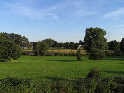 Rheinwiesen bei Friemersheim