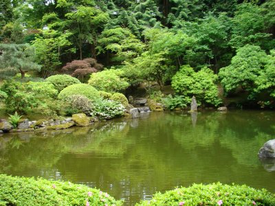 Jap Garden 3.JPG