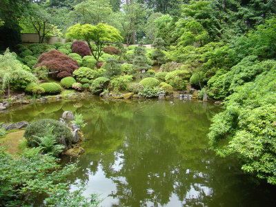Jap Garden 4.JPG