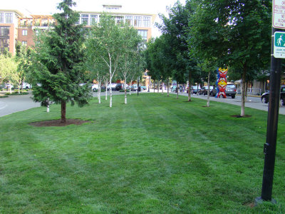 downtown 14.JPG