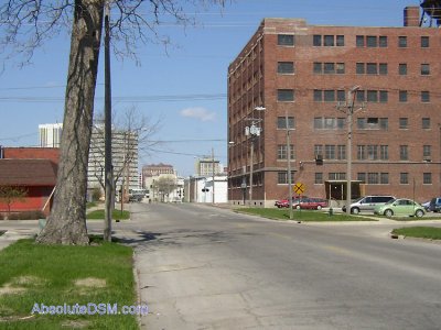 14_tree  factory.jpg