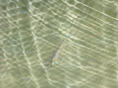 g1/07/235007/3/105748178.pRGNnmqC.jpg