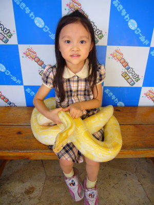 g1/07/235007/3/105748210.QTJPU3Mw.jpg