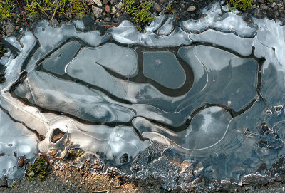 Frozen Puddle.