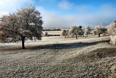 A cold and frosty morning