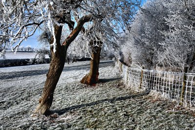 A cold and frosty morning