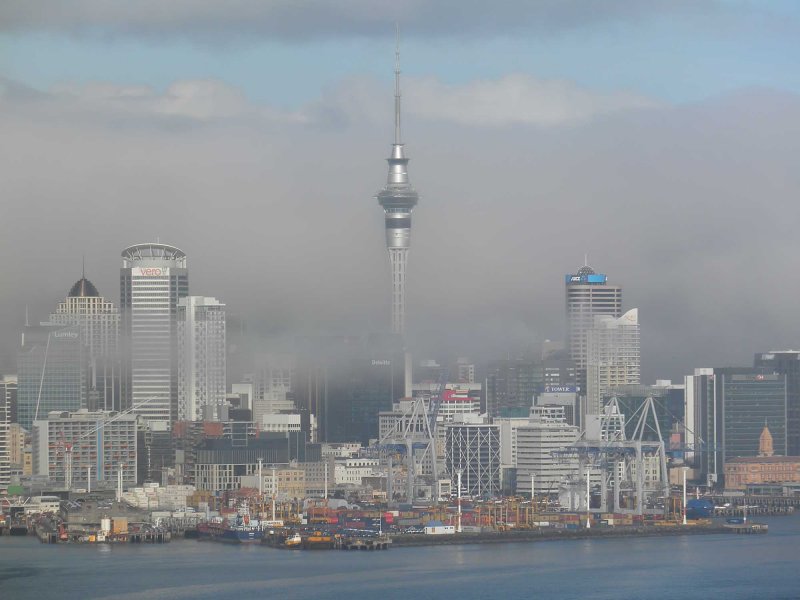Fog 6.jpg