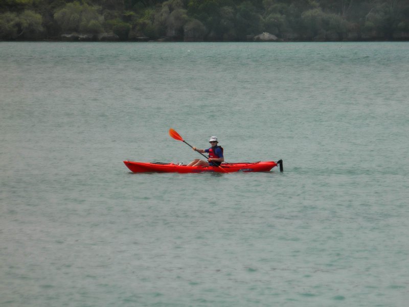 Raglan 1