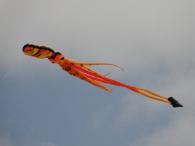 Kite 3.jpg