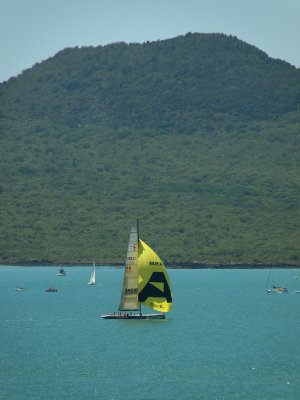 Yellow Sail.jpg