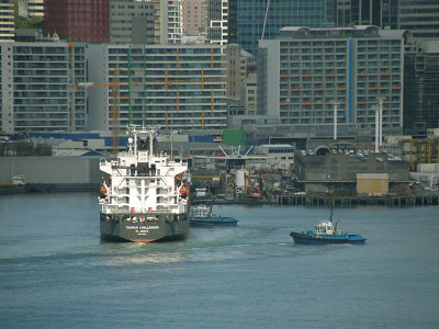 Tasman Challenger 2.jpg