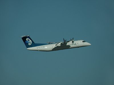 Air New Zealand 2.jpg