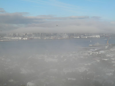 Fog 3.jpg