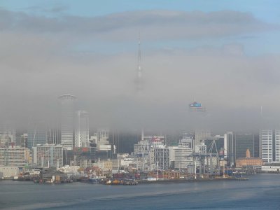 Fog 5.jpg