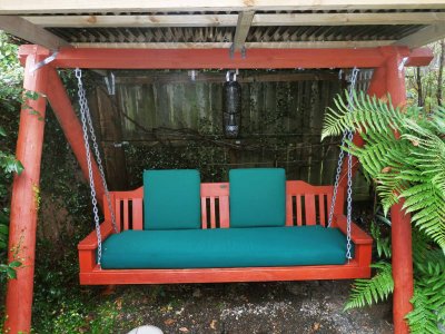 Sandra's Swing
