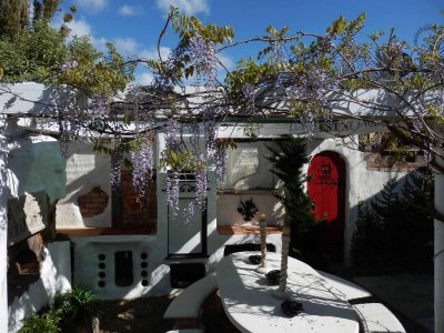 Wisteria 2