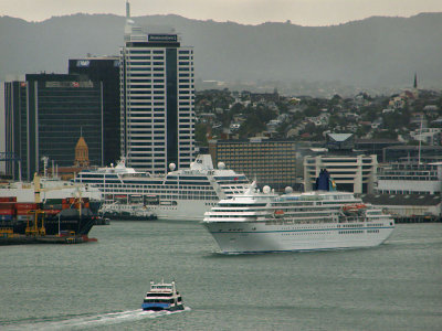 Amadea 7.jpg
