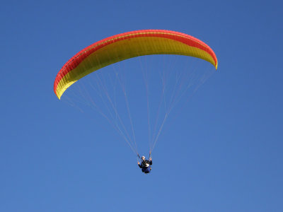 Paraglider.jpg