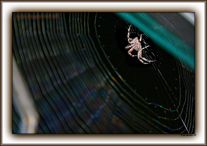 When I Look Out My Window . . . . - Trick Or Treat!
