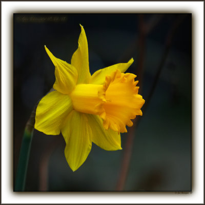 A Daffy Dill, From The Loving Nut Whos Always In A Time Pickle<br>Happy 10<sup>th</sup> Hannah!!
