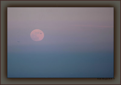 June's Full Moon Just Free Of The Primordial Indigenous Haze That Is Los Angeles - 2 Jets Land LAX