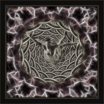 ~ From The Eye Of The Pupil ~An Honor To The Vet'