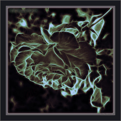 A Wintergreen Sun