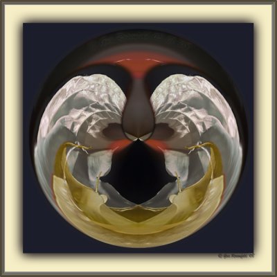 Moon Kitty Circle