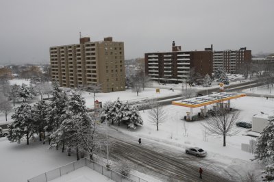 Bão tuyết ban ngày - Snow blizzard day - 001