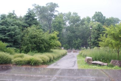 DSC03205