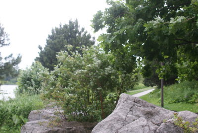 DSC03333
