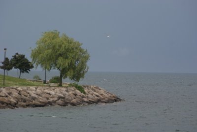 DSC03343