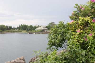 DSC03362