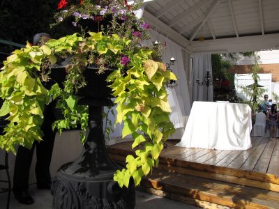 IMG_1806_resize.JPG