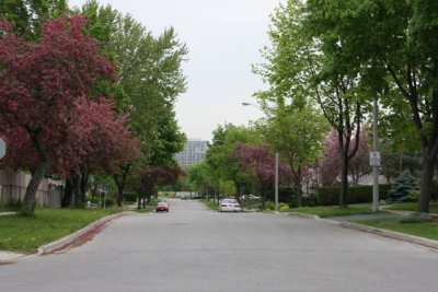 IMG_0032_Spring_RS.jpg
