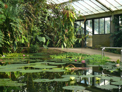 912 Water Lilly House.jpg