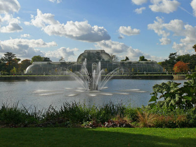 938 Palm House.jpg