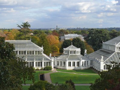 969 View from Tree-top Walk.jpg