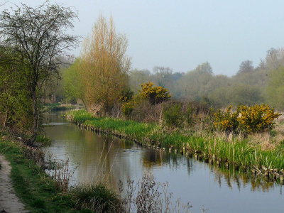 River Itchen