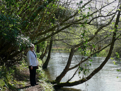 280 Lory, River Itchen.jpg