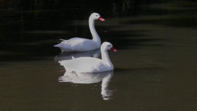 g1/07/383707/3/129720139.kto22dLM.jpg