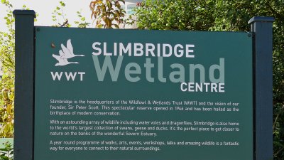 Slimbridge Wetland Centre, Gloucestershire UK